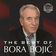 Bora Bojić